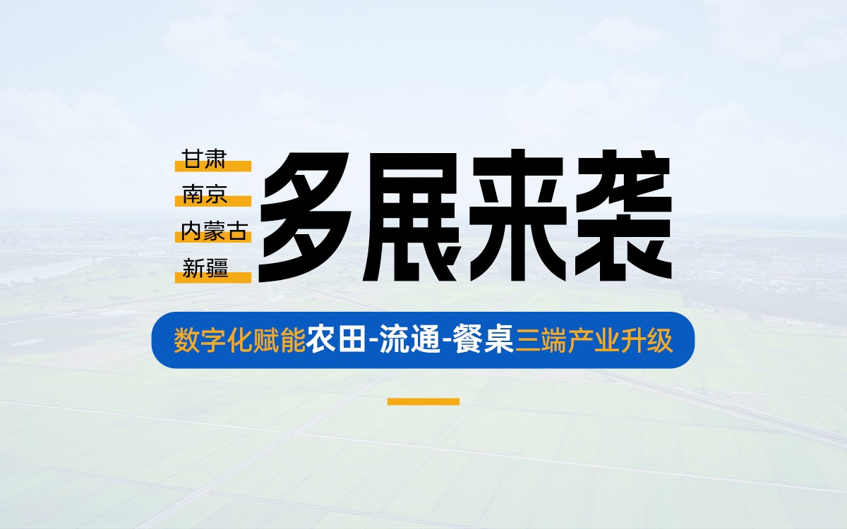 盛夏多展来袭，共探产业数字化新路径