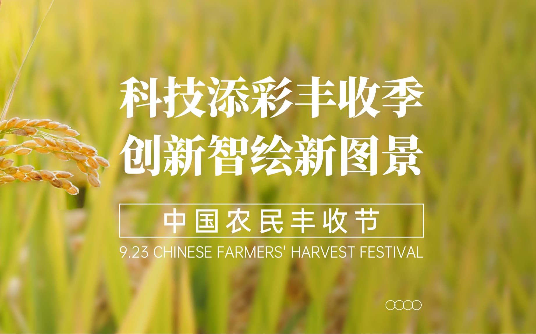 科技添彩丰收季，创新智绘新图景！